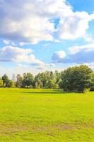 natürlicher panoramablick mit weg grünpflanzen bäume wald deutschland. foto