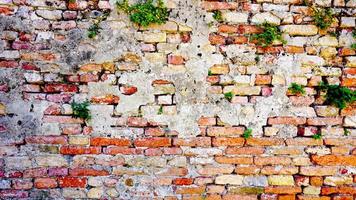Ziegelmauer zerfallen und horizontal in Burano pflanzen foto