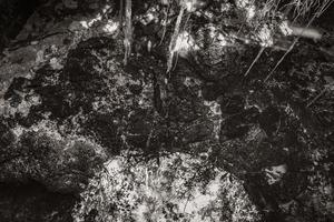 blau türkis wasser kalkstein höhle doline cenote tajma ha mexiko. foto