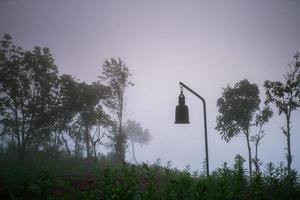 aussichtspunkt der sonnenaufgangsszene in phu chi phor, bezirk khun yuam, provinz maehongson, thailand foto