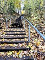 Treppe hinauf. Herbstwald. Treppe im Wald foto