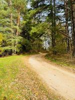 Herbststraße im Wald im Park foto