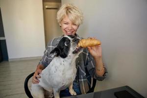 schwarz-weiße französische Bulldogge, die auf den Knien sitzt und sehr aufgeregt über Croissant ist, junge fröhliche blonde Frau, die Hund hält und damit spielt foto