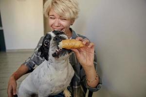 nahaufnahmeporträt einer lustigen erwachsenen französischen bulldogge, die croissant isst, zähne zeigt und mit weit geöffneten augen schaut und über der blonden, ziemlich fröhlichen frau posiert foto