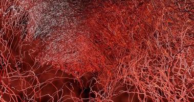 System viele kleine Kapillaren zweigen aus dem großen Blutgefäß ab foto
