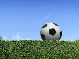 Ball auf dem Zaun, Wandbeschaffenheit des grünen Grases und strahlend blauer Himmel foto