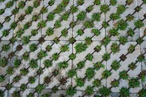 die Struktur des Pflastersteins mit grünem Gras für abstrakten Hintergrund. kostenloses Foto