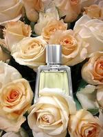 Parfümflasche auf Rosenwandhintergrund bunt foto