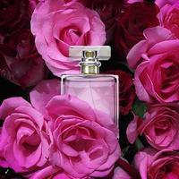 Parfümflasche auf Rosenwandhintergrund bunt foto
