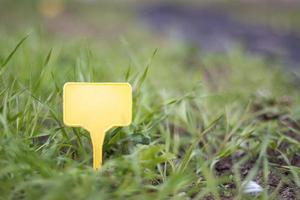 eine gelbe Gartenmarkierung aus Kunststoff, die auf eine Pflanze im Garten hinweist. Etikettengarten zum Markieren. eine wiederverwendbare platte dient zur anzeige von informationen über angebaute kulturen. foto
