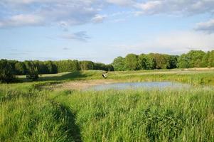 Storch fliegt über eine Wiese und einen Teich. großer Vogel, der im Frühjahr nach Deutschland kommt foto