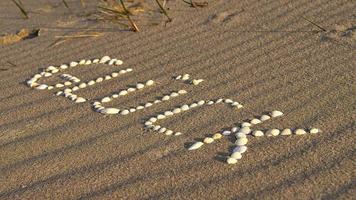 mit muscheln symbol glück am strand der ostsee in den sand gelegt foto