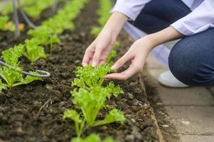 männliche hand, die erde und regenwürmer hält, konzept der erhaltungslandwirtschaft foto