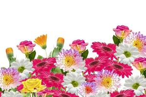 Bunte lebendige Blumen von Chrysanthemen, Gerbera, Rosen isoliert auf weißem Hintergrund. foto