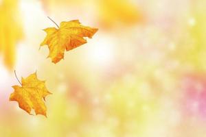 Herbstlandschaft mit leuchtend buntem Laub. Indischer Sommer. foto