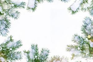 Weihnachtsbaum im Schnee isoliert auf weißem Hintergrund. Grußkarte. foto