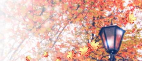 Herbstlandschaft. Bäume mit leuchtend bunten Blättern foto