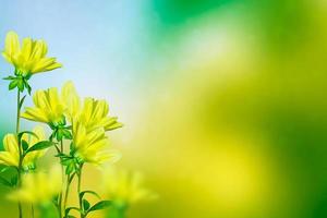 bunte Dahlienblumen auf einem Hintergrund der Herbstlandschaft foto