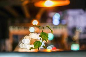 Mini-Baum wächst auf der Überführung im städtischen Bokeh-Lichthintergrund auf. foto