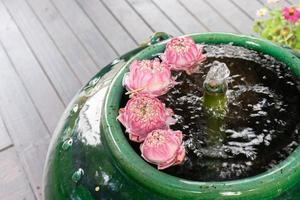 Pink Fold Lotus fließen auf der Wasseroberfläche in einem großen grünen Vintage-Ja und einem Brunnen in der Mitte. foto