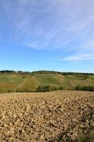 Schönes bestelltes Feld und sanfte Hügel der Toskana foto