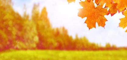 Herbstlandschaft mit leuchtend buntem Laub. Indischer Sommer. foto