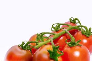 frische rote Tomaten isoliert auf weißem Hintergrund foto