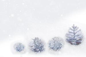 Tannenzapfen im Schnee. foto