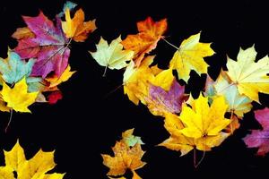 Herbsthintergrund mit hellen bunten Blättern. foto