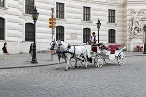 Pferdekutsche in Wien, Österreich foto
