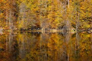 buyuk see im yedigoller nationalpark, bolu, türkei foto