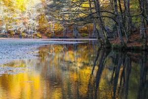 derin see im yedigoller nationalpark, bolu, türkei foto