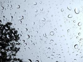 der Nieselregen benetzte das Glas, ein Windstoß fegte durch die Bäume, bis es bebte. bei schlechtem Wetter ein Gewitter foto