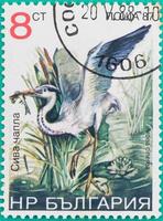 Briefmarken wurden in der Russischen Föderation gedruckt foto