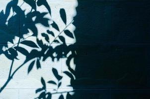 Schatten der Blätter und des Baums auf alter blau gestrichener Wand für Hintergrund und Textur. foto