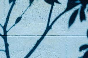 Schatten der Blätter und des Baums auf alter blau gestrichener Wand für Hintergrund und Textur. foto