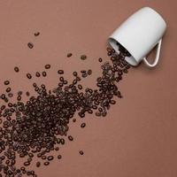 Kaffeebohnen und weiße Tasse auf farbigem Hintergrund foto