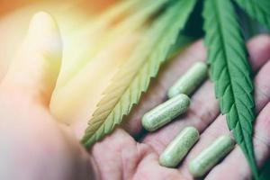 Cannabisblätter Marihuana-Pflanze in der Hand und Kapsel Hanfblatt für den natürlichen selektiven Fokus der medizinischen Versorgung foto