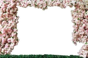 Rahmen der Kirschblüte isoliert auf weißem Hintergrund foto