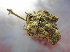 Medizinische Marihuana-Knospen Nahaufnahme Hintergrund Rauchen von Unkraut foto