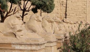 Sphinxe im Karnak-Tempel, Luxor, Ägypten foto