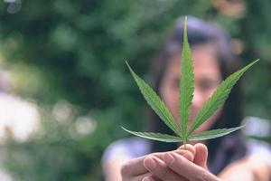 Hand hält Cannabis-Marihuana-Blatt hoch. für medizinische oder Freizeitzwecke foto