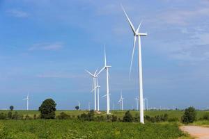 Ökostrom, Windkraftanlage auf dem grünen Gras und Maisfeld über dem blauen bewölkten Himmel foto