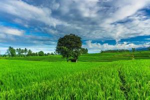 Naturporträt von Reisfeldern und Bergen im ländlichen Indonesien mit Sonnenaufgang foto
