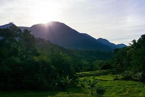 indonesiens naturlandschaft mit bergen und reisfeldern an einem sonnigen morgen foto