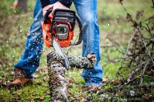 Holzfäller in voller Schutzausrüstung Brennholz schneiden foto