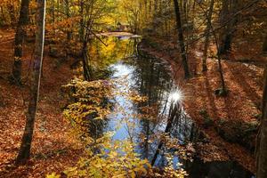 sazli-see im yedigoller-nationalpark, bolu, türkei foto