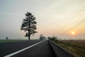 die leere asphaltstraße entlang des reisfeldes am frühen morgen mit leichtem nebel. foto