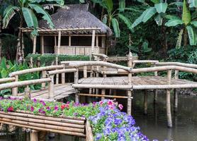 Bambusbrücke mit der Blumenreihe. foto