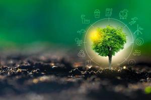 Erneuerbare Energien Konzept Earth Day oder Umweltschutz Hände schützen Wälder, die auf dem Boden wachsen und helfen die Welt zu retten foto
